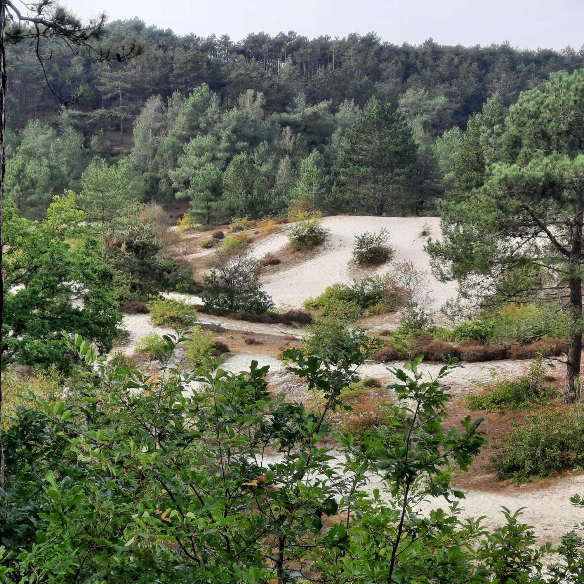 Meertje Villa 81 Op Recreatiepark De Wielen ซินท์ มาร์เท็น ภายนอก รูปภาพ